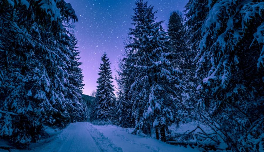 How to de-stress before the Holidays