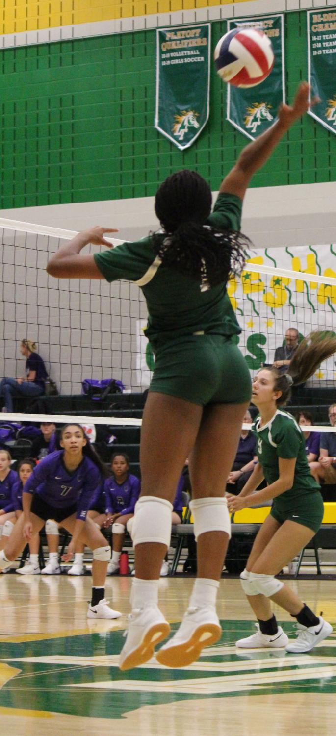 Volleyball - All Teams