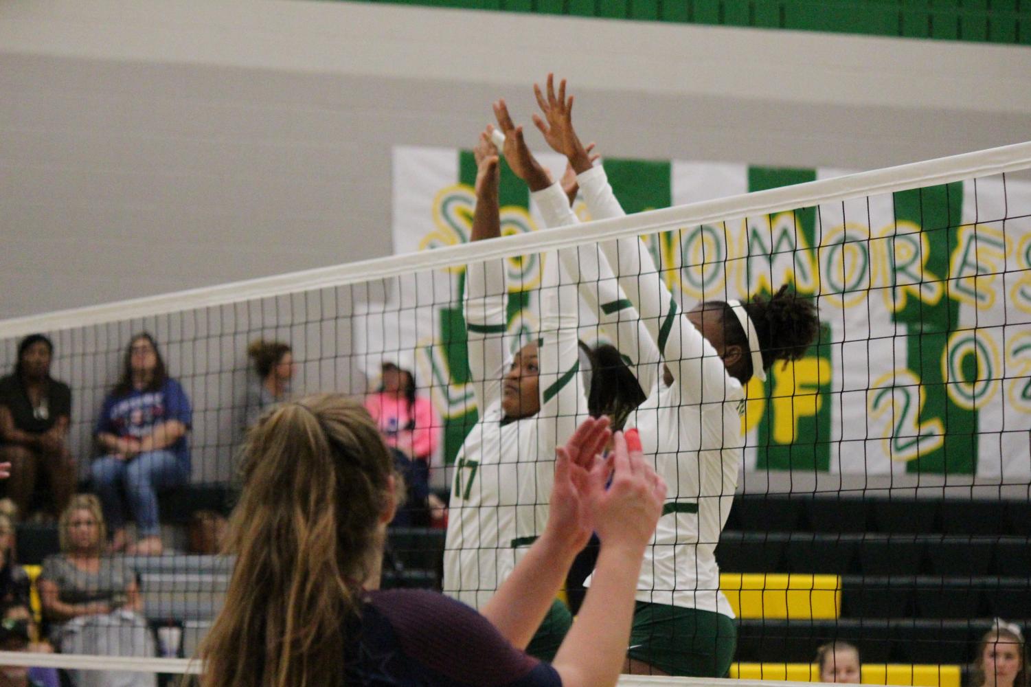 Volleyball - All Teams