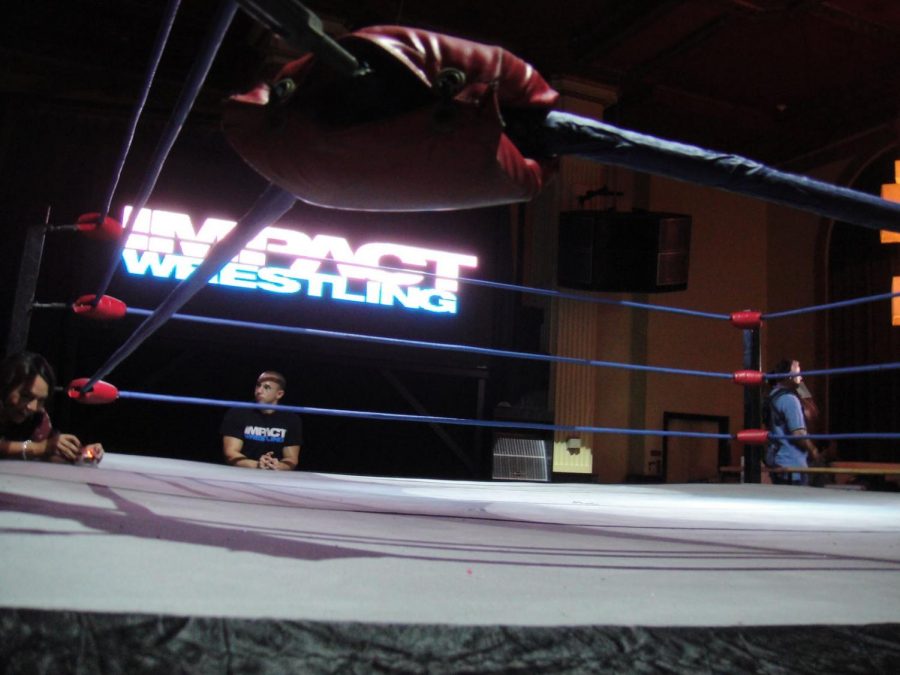 Wrestling With the Gender Gap