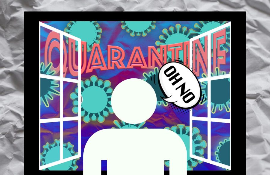 A Glimpse into the Quarantine Life