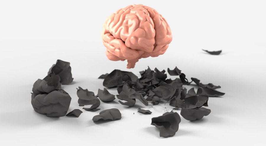Mental Health has become a critical issue around the world and students are finding ways to bring positivity into each other's life. 

Photo Credit: Quince Media, CC BY-SA 4.0 , via Wikimedia Commons 