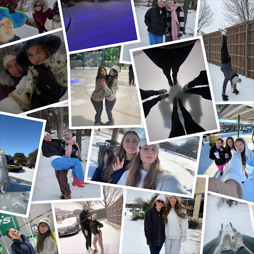 Collage Made By Hazel Leazer